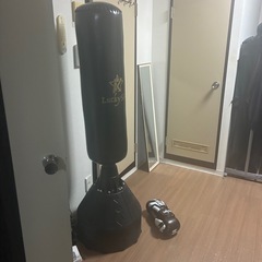 【定価1.5万円】サンドバッグ&グローブの画像