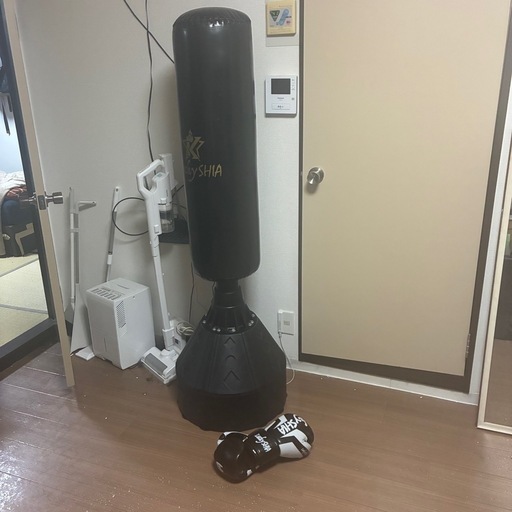 【定価1.5万円】サンドバッグ&グローブ