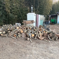 1月30日再入荷　薪材 キャンプ　BBQなど　差しあげますの画像