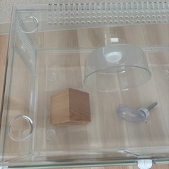 ハムスター　ケージ　グラスハーモニー450の画像