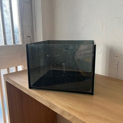メダカ用　水槽の画像