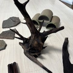 アクアリウム　流木　シェルター等の画像