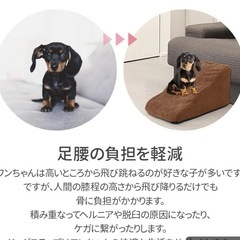 ペットステップ
の画像