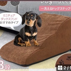 ペットステップ
の画像