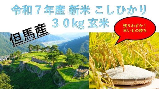 令和7年産　新米　コシヒカリ　玄米　30kg