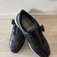 レディースゴルフクラブフルセット13点＋グローブ、シューズ付きの画像