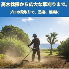 草刈り、伐採　樹木一本から高所、荒地も対応可能。