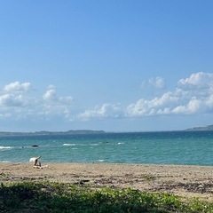 本日、急遽人手が必要な方お手伝いします