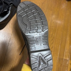 MIDORI 👞の画像