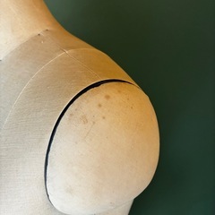 TOKYO KIIYA 東京キイヤ 三菱レーヨン　 洋裁ボディトルソー ニューキプリス 9ARレギュラーの画像