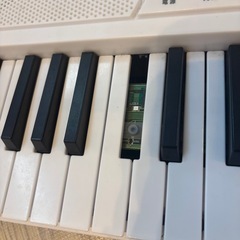 電子キーボードの画像