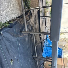 4つセット　診察用の画像