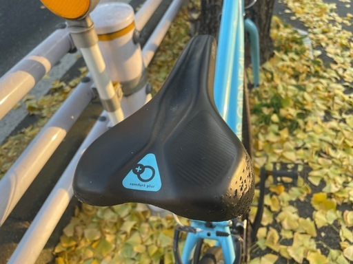 LOUIS GARNEAU（TIREUR）【20%値下げしました】