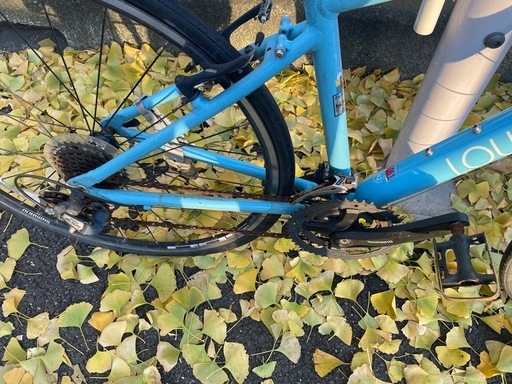 LOUIS GARNEAU（TIREUR）【20%値下げしました】