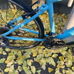 LOUIS GARNEAU（TIREUR）の画像