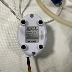 複数種類の水槽、ポンプ、水温計などの画像