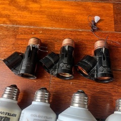 爬虫類用ライト
の画像