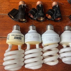 爬虫類用ライト
の画像