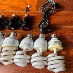 爬虫類用ライト
の画像