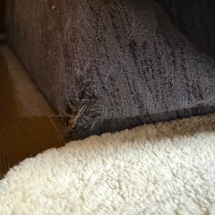 ローソファーの画像