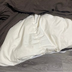 【譲渡予約済み】セミダブルの羽毛布団 ダウン80%フェザー20% 1.3kg ニトリの画像