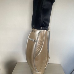 【初心者〜女性向け】PHYZ ゴルフクラブ一式 キャディバッグ付の画像