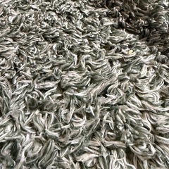 グリーン系 シャギーラグ カーペット 200×300cm 大判の画像