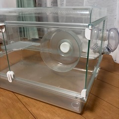 お譲り先決まりました！GEXグラスハーモニー⭐︎ ハムスター飼育小屋（ケージ）セットの画像