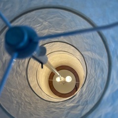 和紙／照明の画像