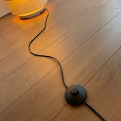 和紙／照明の画像