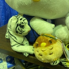 ぬいぐるみ色々の画像