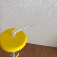 レゴランド　ボトル　スラッシュボトルの画像