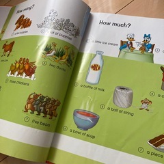 ディズニーワールドイングリッシュの画像