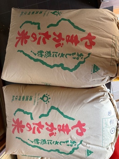 R6年度、山形産はえぬき    決まりました。