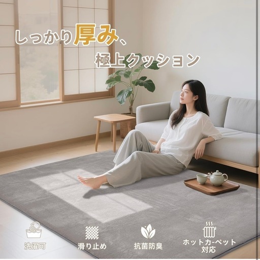 カーペット ラグマット 250×200cm　滑り止め付 洗えるラグ 抗菌 防音絨毯 長方形 ライトグレー
