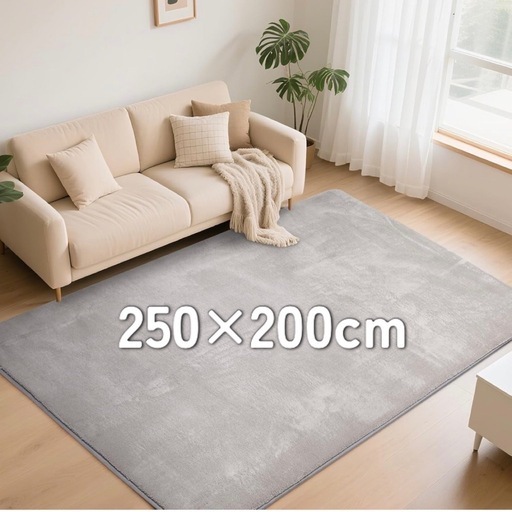カーペット ラグマット 250×200cm　滑り止め付 洗えるラグ 抗菌 防音絨毯 長方形 ライトグレー