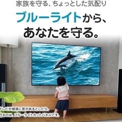 ブルーライトカット50インチ液晶保護パネルの画像