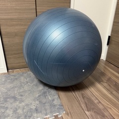 確定済み【無料】バランスボールの画像