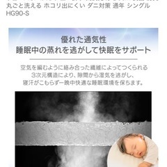 アイリスオーヤマシングルマットレスの画像