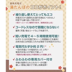 蓄熱式湯たんぽ　ポカヌック（値下げ交渉🉑）の画像