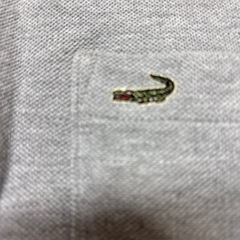 クロコダイルの長袖ポロシャツの画像