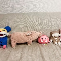 ぬいぐるみたちの画像