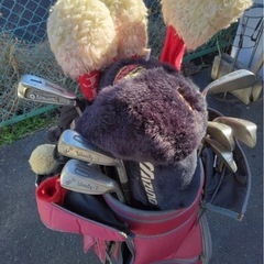 ゴルフクラブパッケージ。の画像