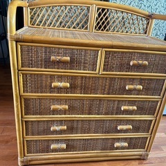 アジアンチェスト🌴の画像