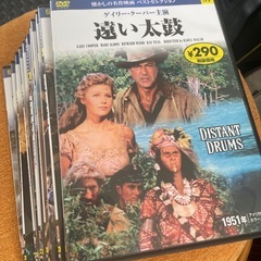 名画集DVD11枚の画像