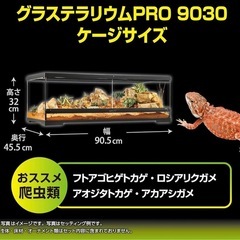 グラステラリウム9030の画像