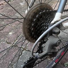 FELT   取りに来られる方の画像