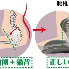ブランド トレードワン(Trade One) 特徴 骨盤サポート 色 レッド の画像