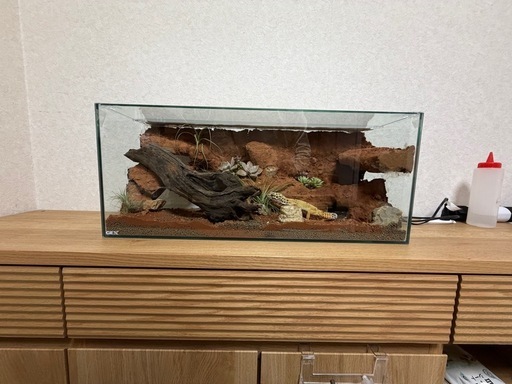 【完成品】爬虫類レイアウト・シェルター一体型60㎝水槽