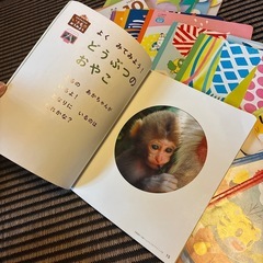 こどもちゃれんじセットの画像